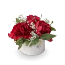 Box červených pivoněk